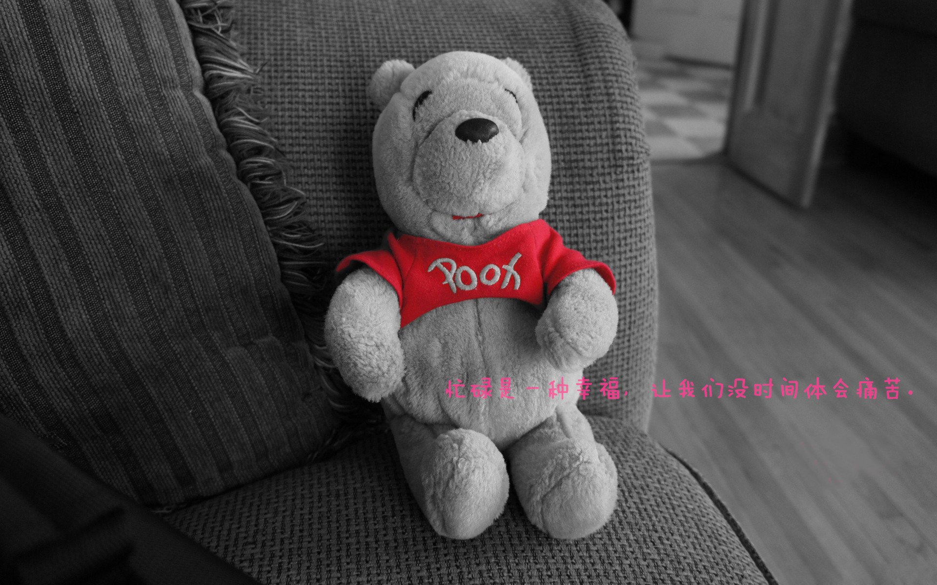 _夜空瑜伽：在星光下的身心合一_，星空瑜伽馆