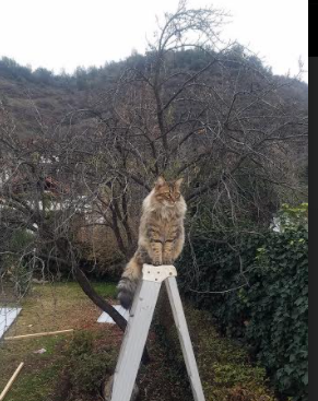 _网球明星慈善赛，场外温情暖人心_，网球 明星