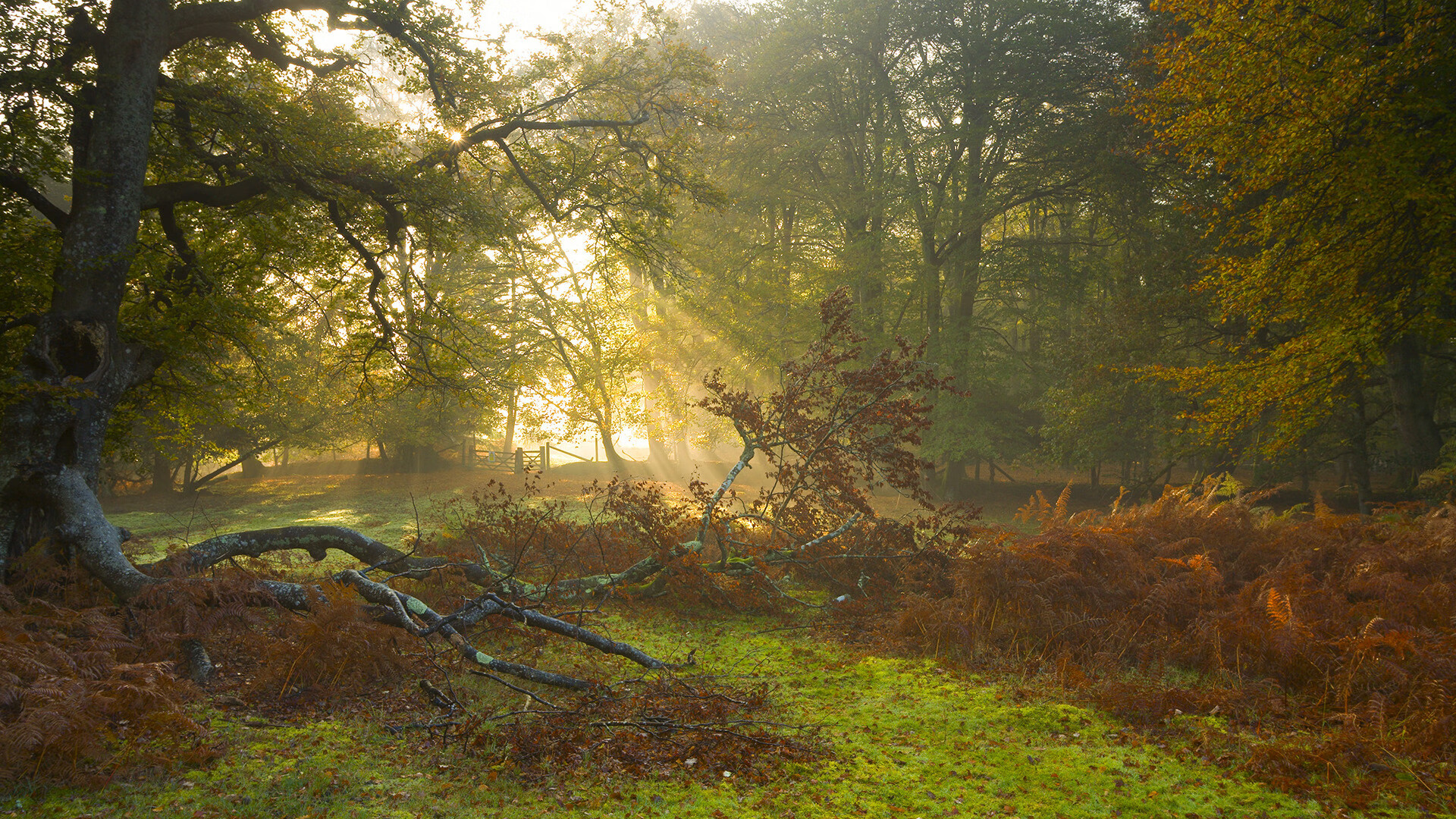 “青春逐梦”公益篮球比赛在河南焦作激烈角逐，河南省青少年篮球比赛