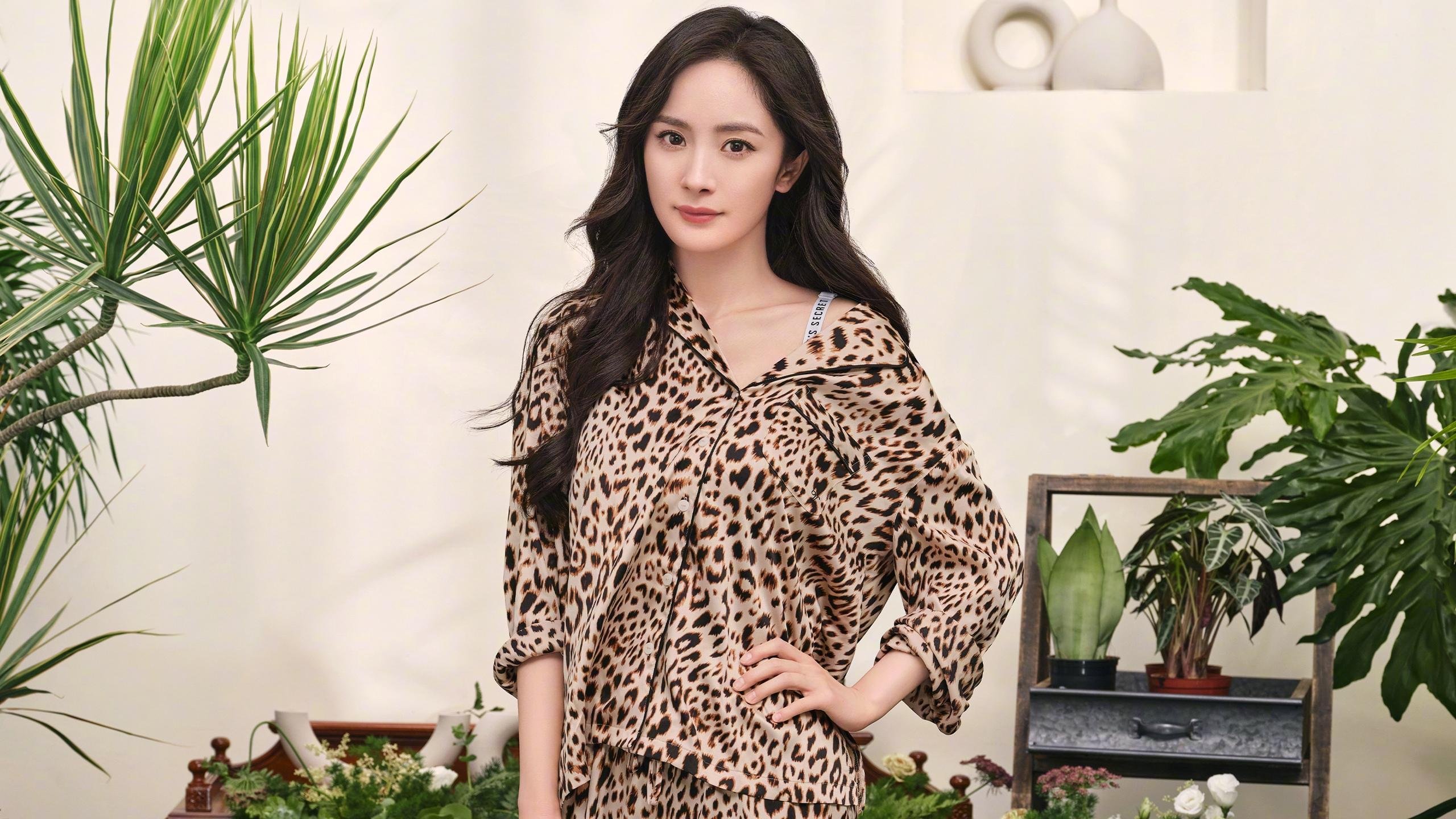 中国篮球明星公益活动传递正能量,篮球明星,中国