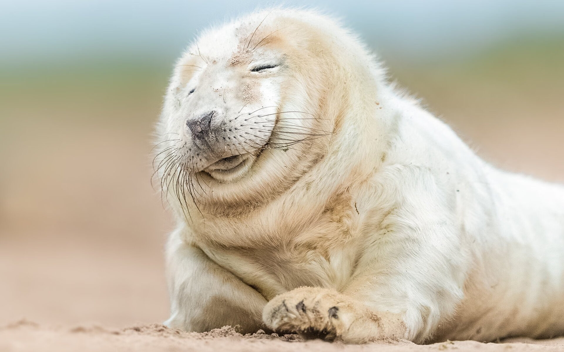 未来足球场馆将实现“绿色能源+智能控制”全链路绿色升级,新型足球场