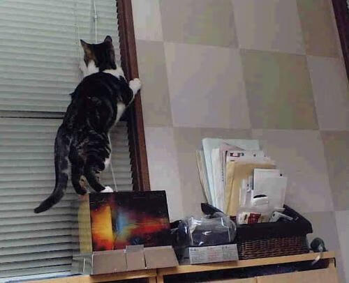 生死时速：WRC比赛的疯狂瞬间合集，生死时速 bgm