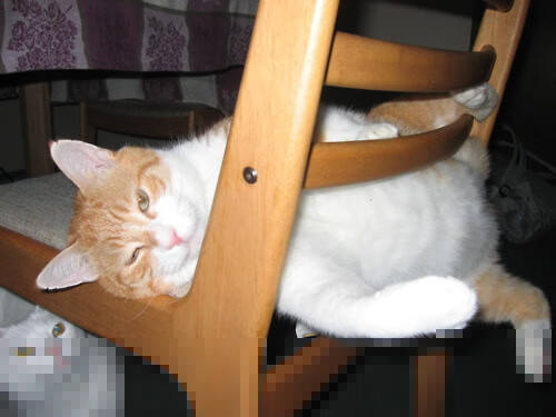 生活中的运动——街头悠闲慢跑开跑啦！