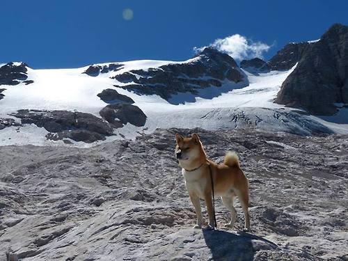 顶尖“攻击手”谁称王？欧冠射手榜最新排名，欧冠射手榜排行