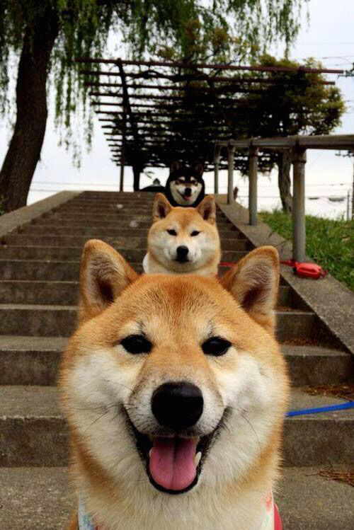 顶级“传球之王”：欧冠最完美的助攻瞬间，欧冠助攻最多的球员