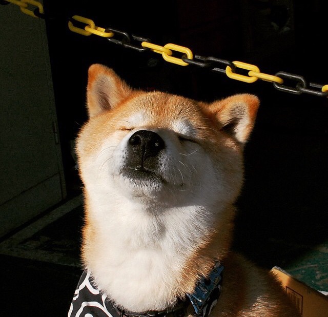 巴萨客场0-2不敌皇马，遭遇赛季首败，巴萨0比7皇马