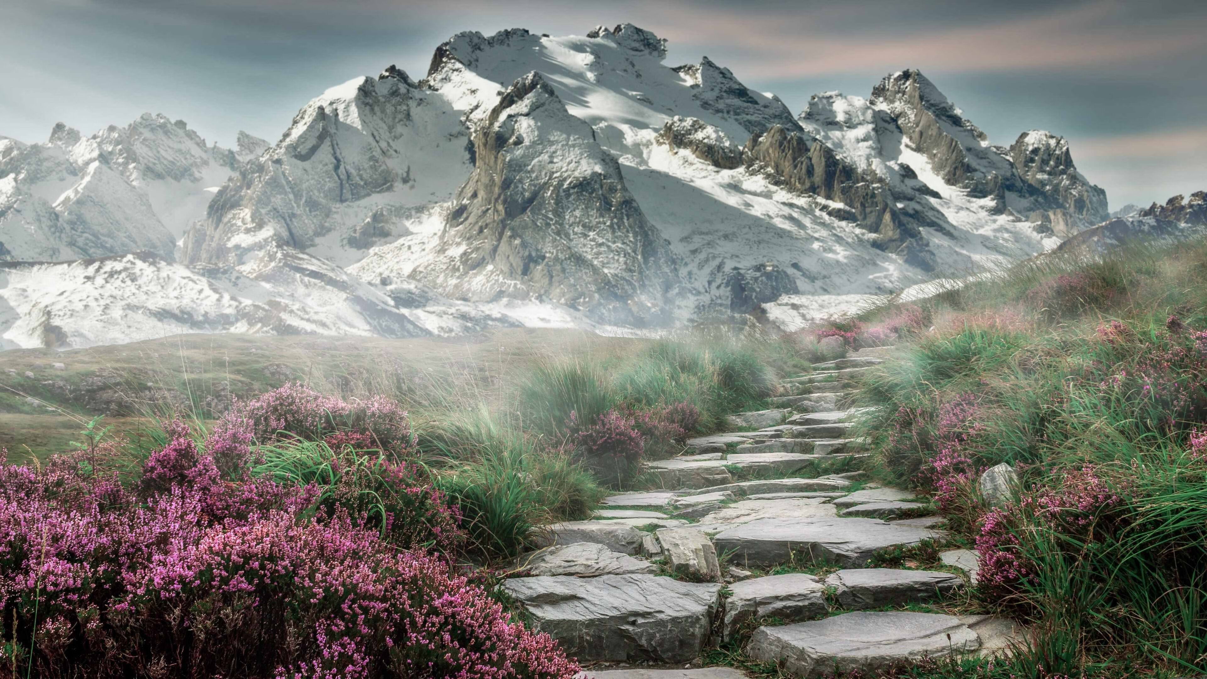 激烈角逐拉开帷幕,亚冠比赛全面展开,亚冠比赛时间表2020