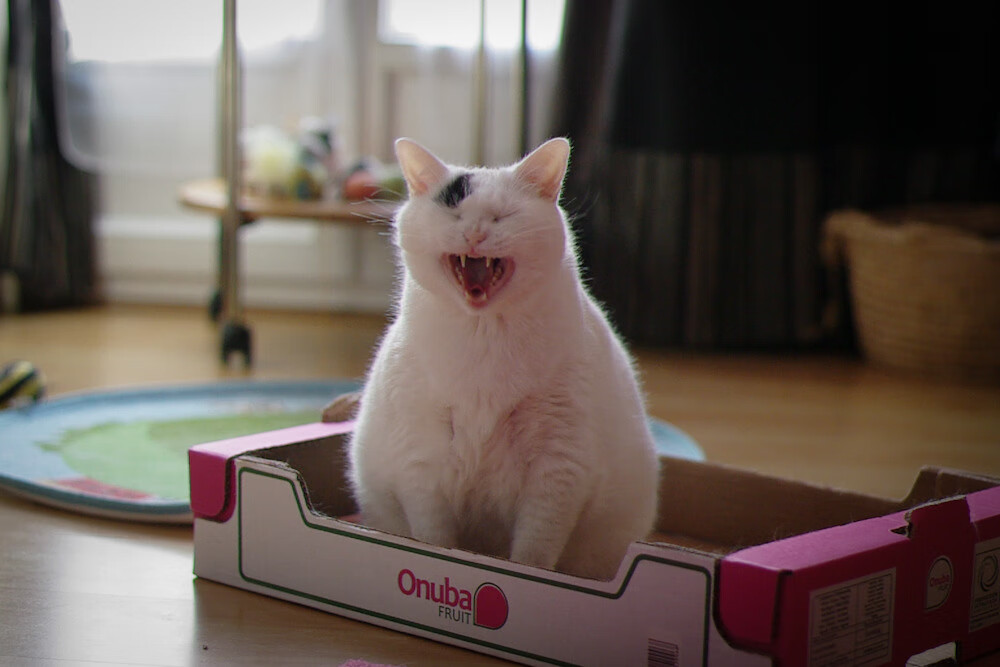 篮球运动员专项心理训练课程设计与开发,篮球运动员的心理选材