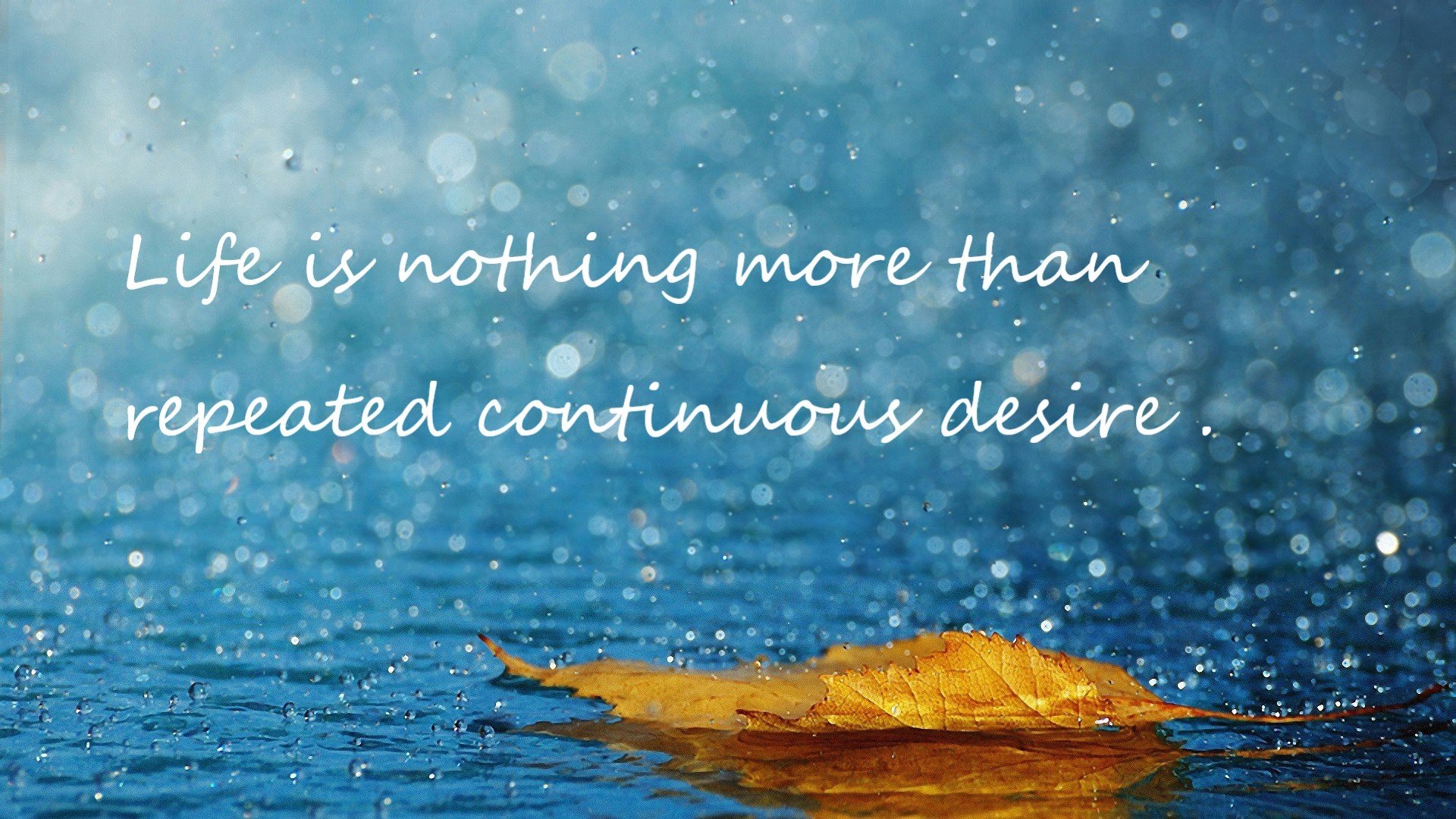 德甲速度与力量:攻防节奏快如闪电!,德甲强度